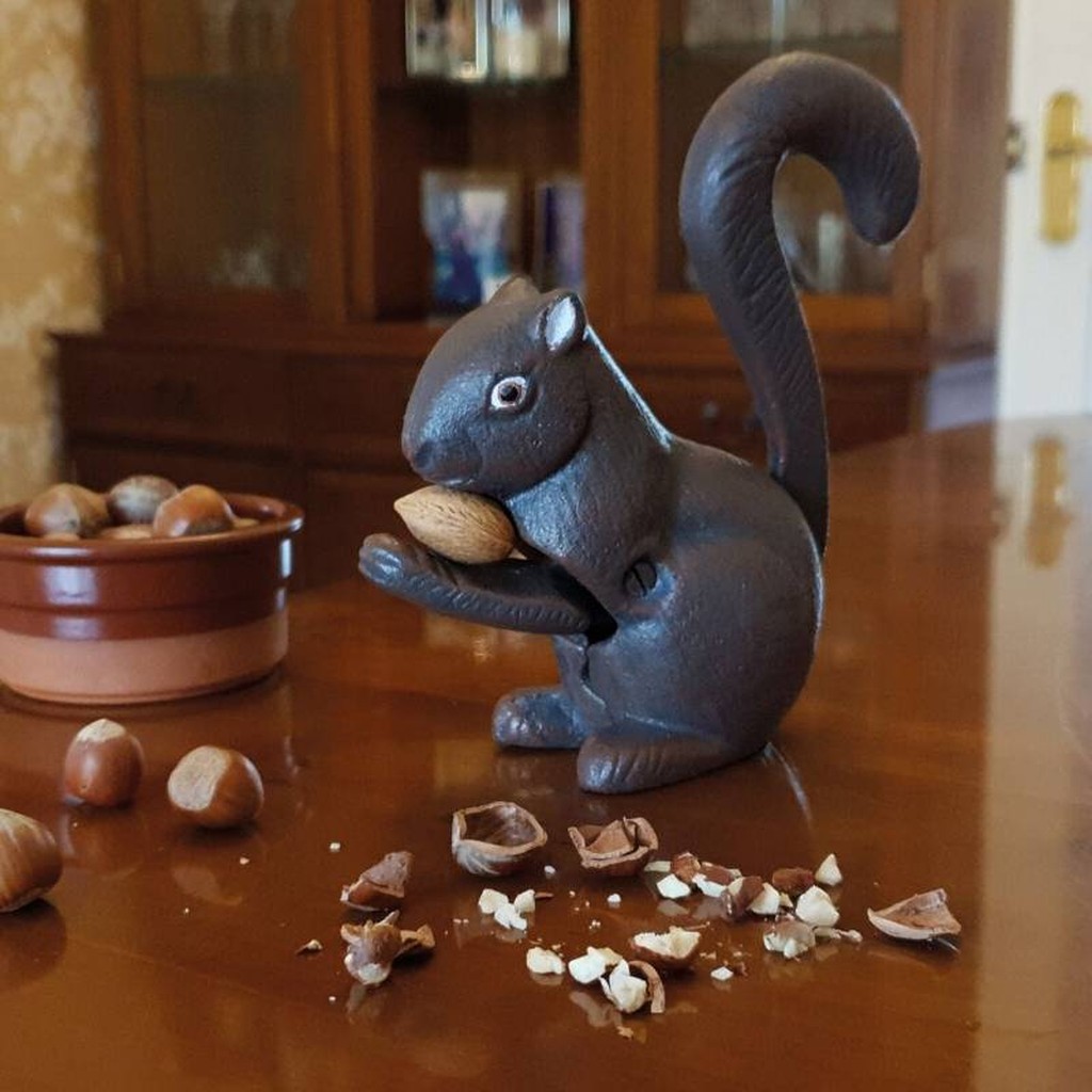 Nussknacker Eichhörnchen