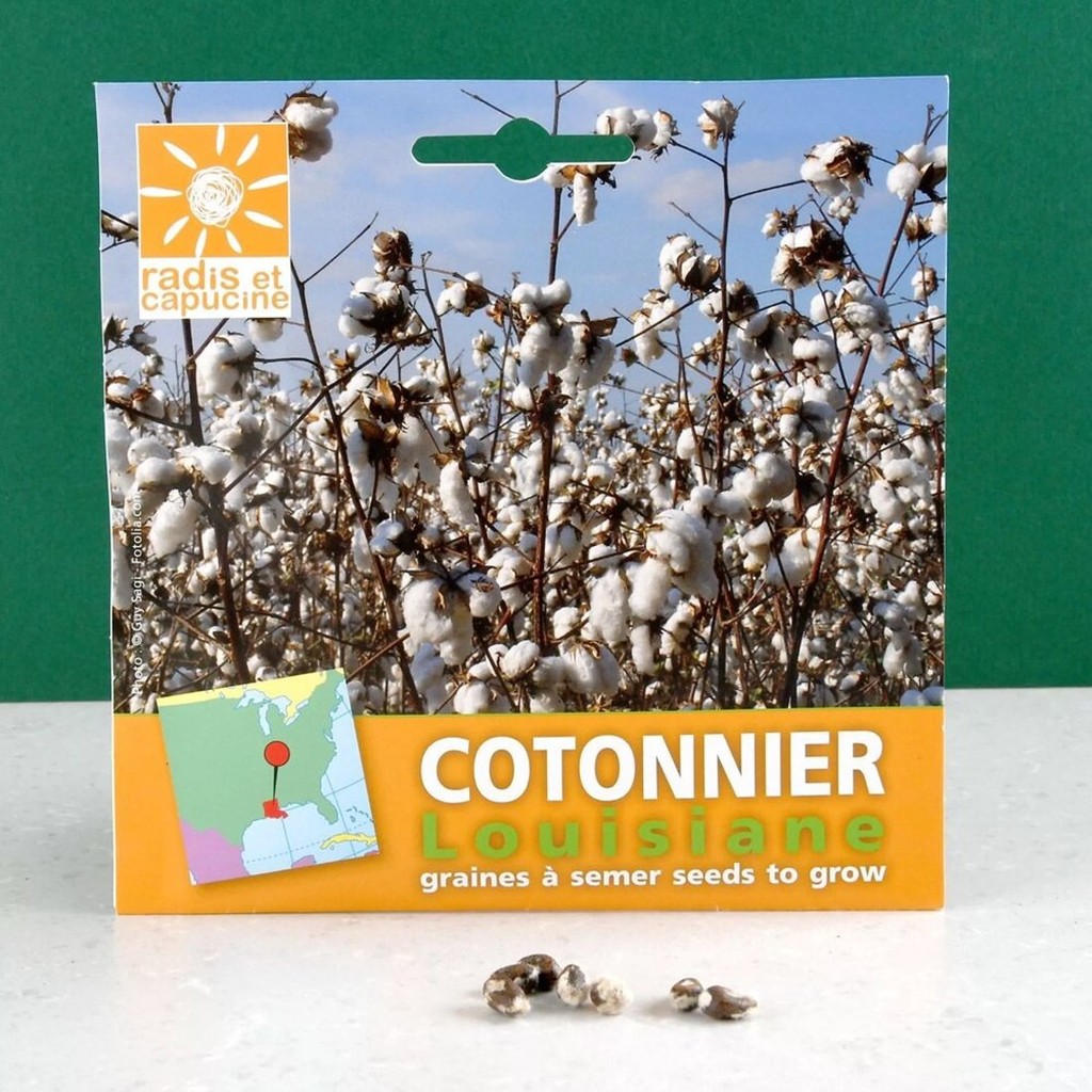 Louisiana Baumwoll-Samen von Radis et Capucine im Set mit Verpackung
