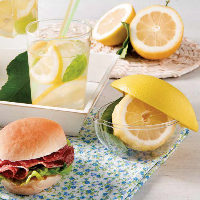 Zitrone Aufbewahrungsbehälter von Snips