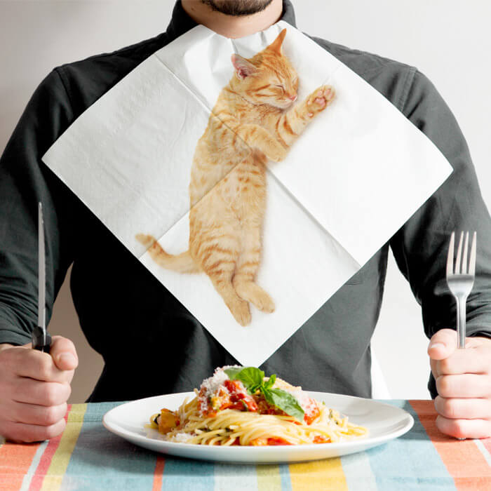 Katzen Papier Servietten von Suck UK
