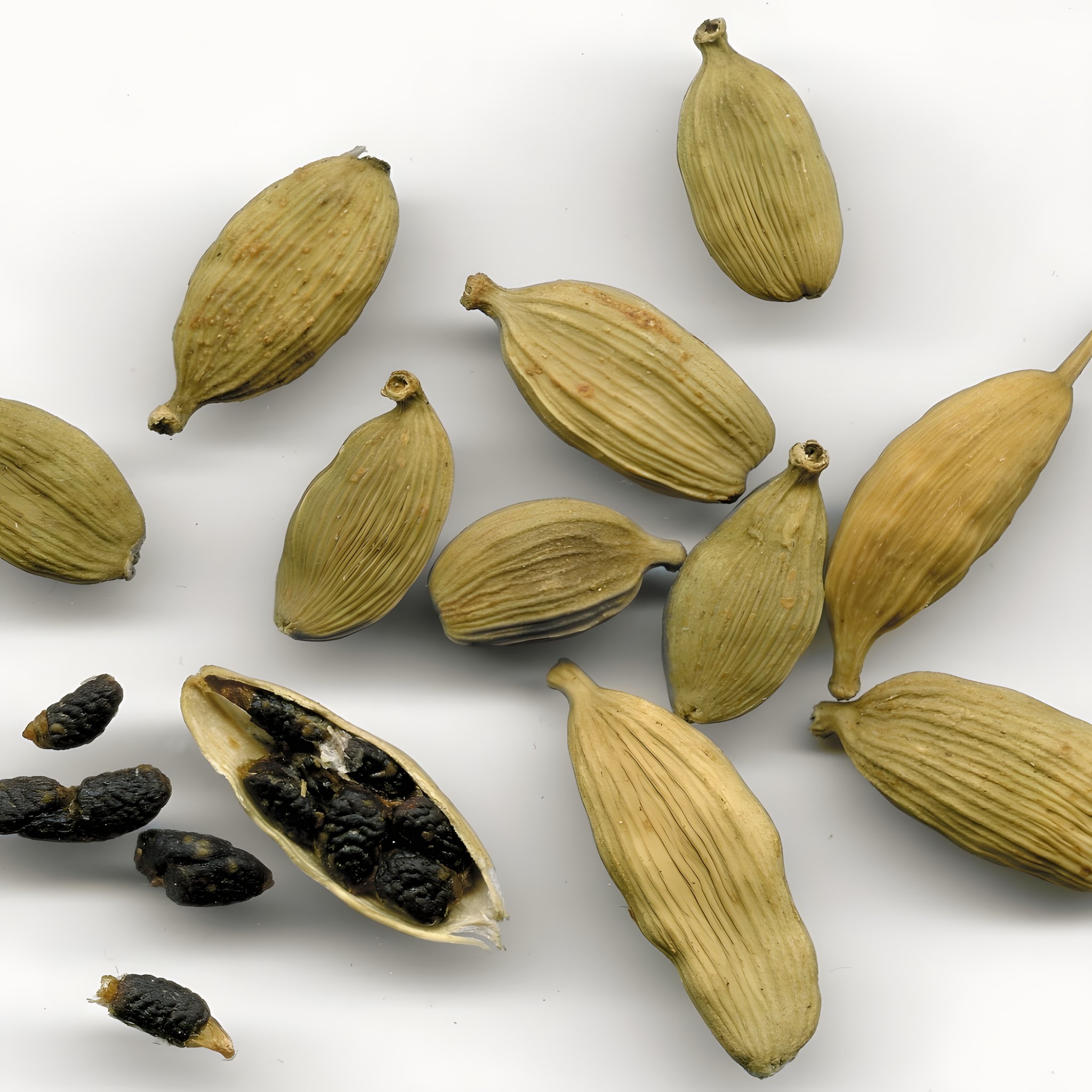 Capsule di cardamomo verdi, una aperta con semi scuri