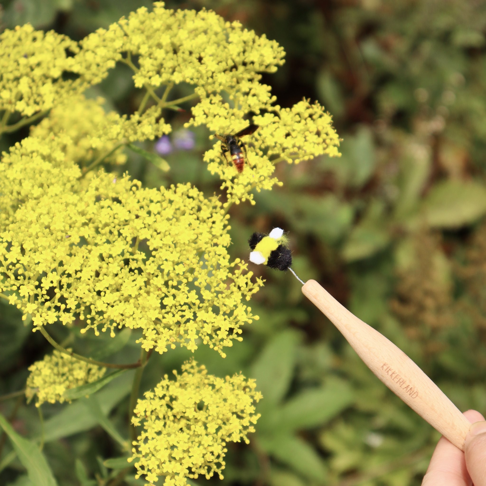Baguette de pollinisation sur des fleurs jaunes au jardin