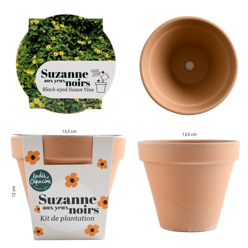 Pflanzset Schwarzäugige Susanne