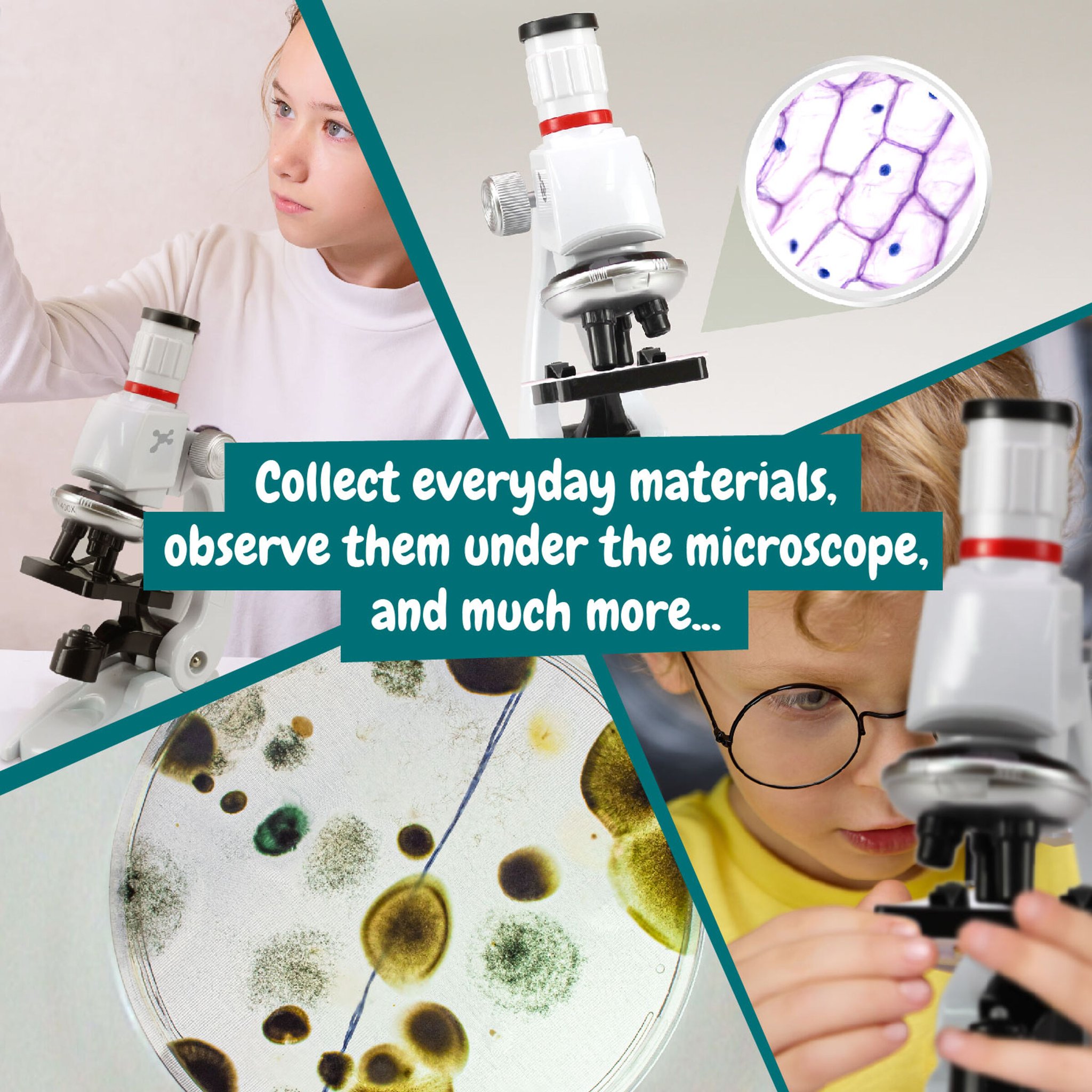 Discovering microscope experiments