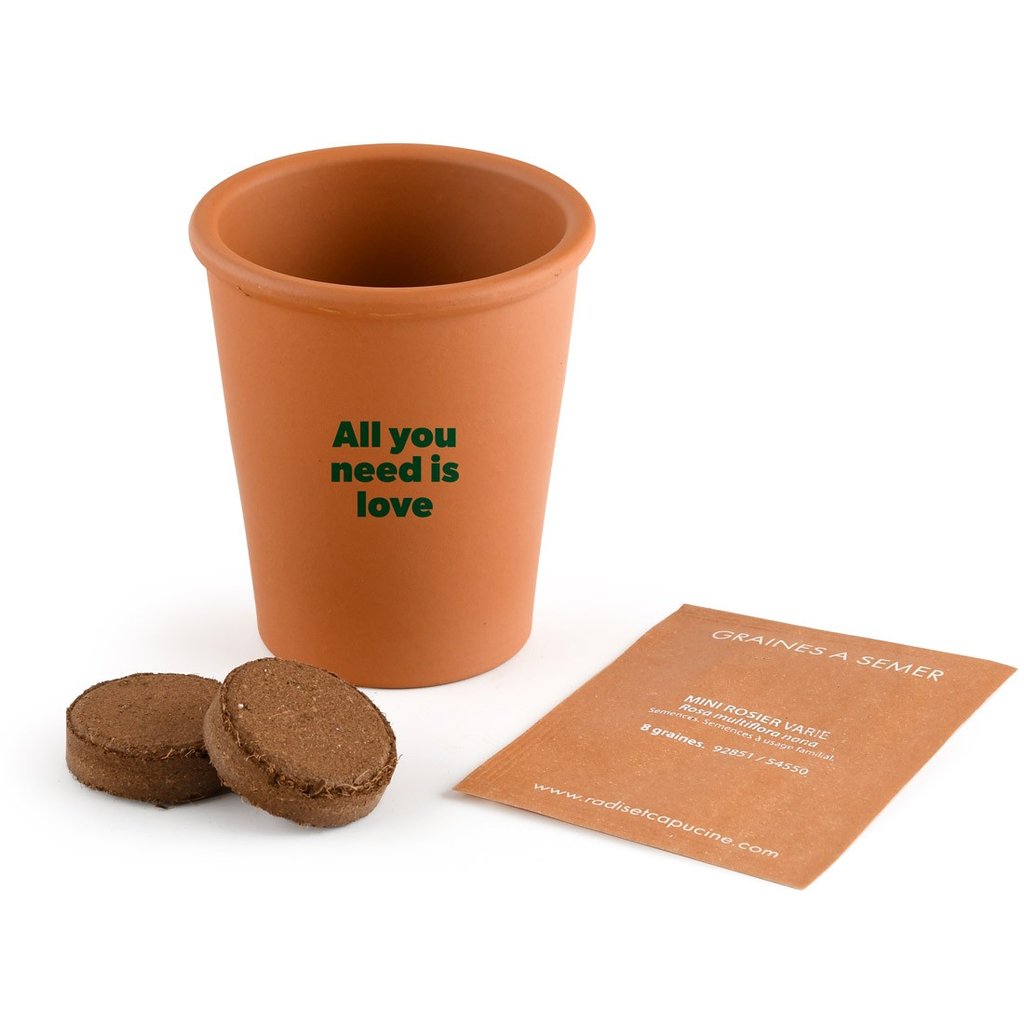 Pflanz-Set Rose All you need is love