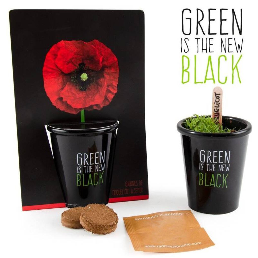 Klatschmohn-Aufzuchtset