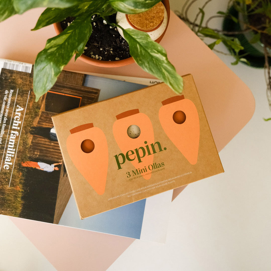 Pepin Mini Ollas 3er-Set – die Klassiker