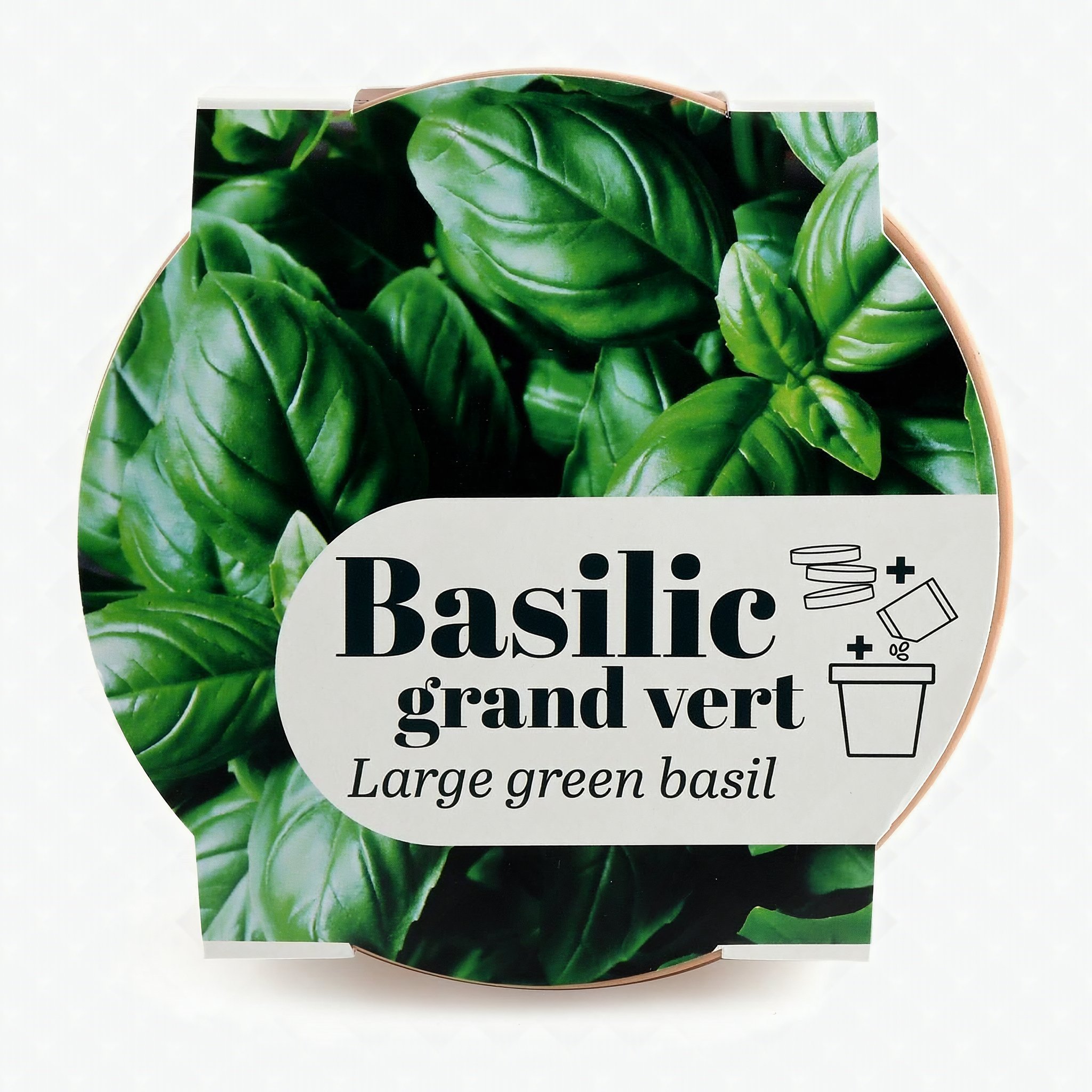 Basilikum Bio Anzuchtset Radis et Capucine – Topf-Deckel mit Basilikum-Druck von oben