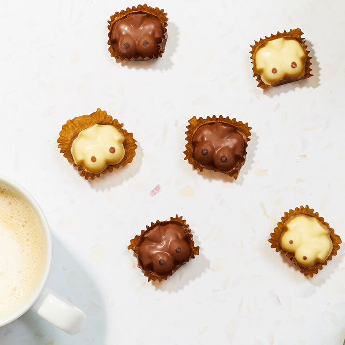 Schoko Pralinen Brüstte