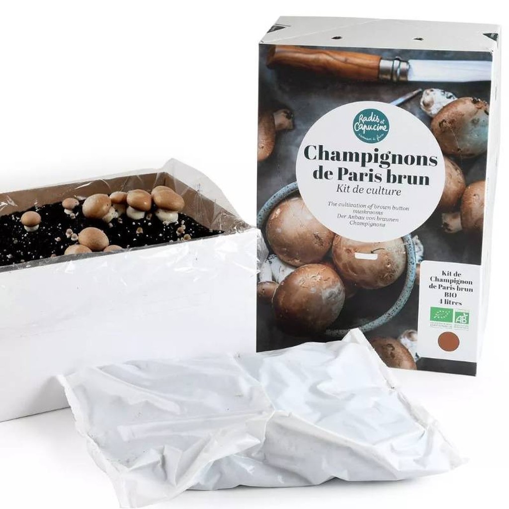 Kit di Coltivazione dei Funghi