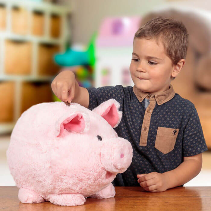 Tirelire Cochon en Peluche
