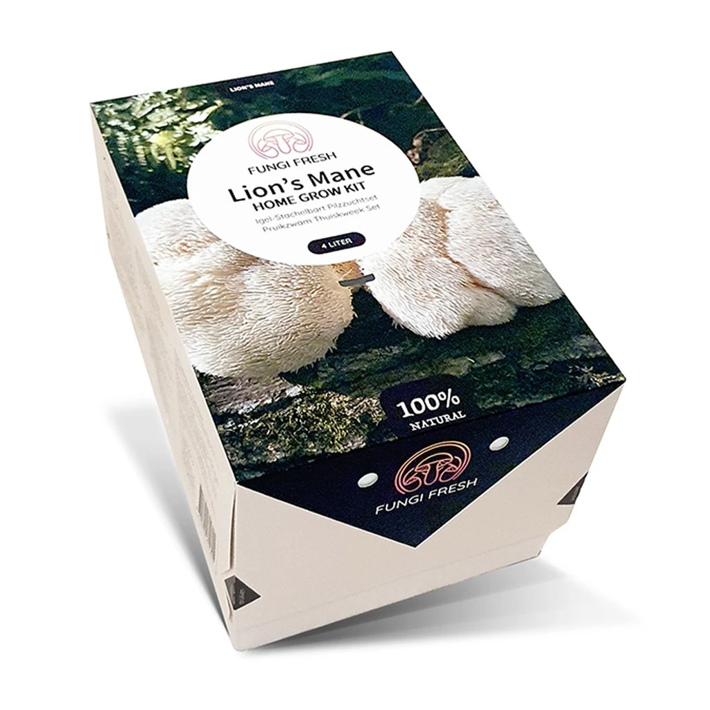 Bio-Set Löwenmähnenpilze XXL