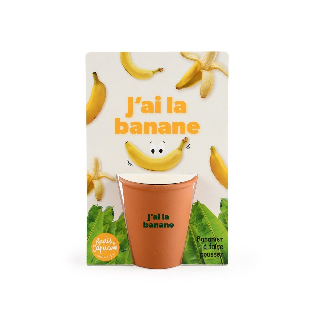 Bananenbaum Anzuchtset "Ich hab gut lachen"