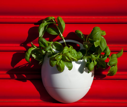 Vaso Autoirrigante per Erbe Aromatiche