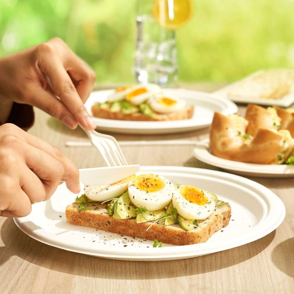 Runde Zuckerrohr-Teller 26 cm – 100er-Set Umweltfreundliches Einweggeschirr