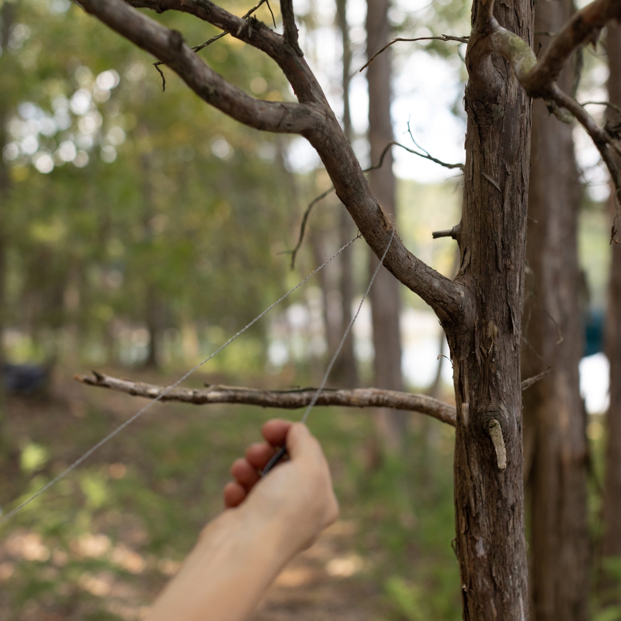 Une main tend la scie à fil contre une branche fine en forêt, le Kit d'exploration en action