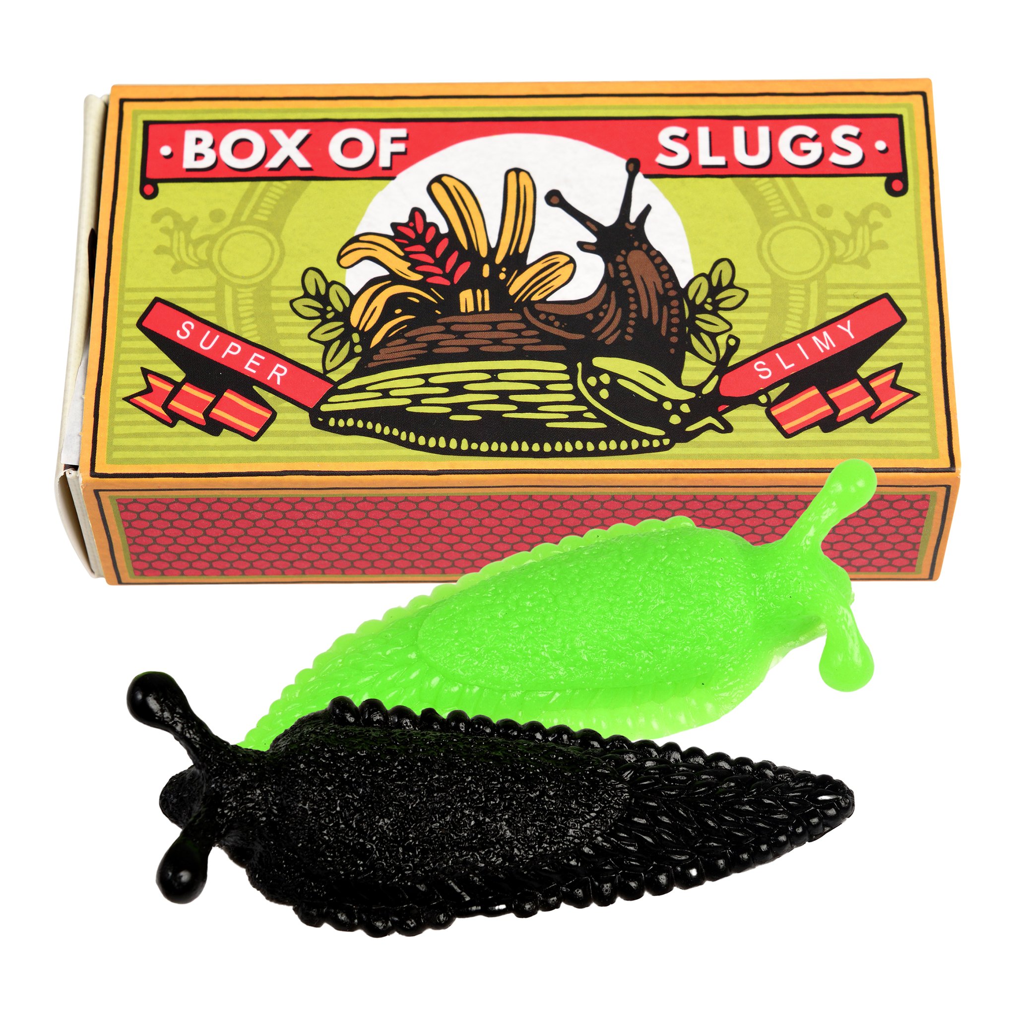 Scatola «Box of Slugs» con lumaca verde e nera in gomma