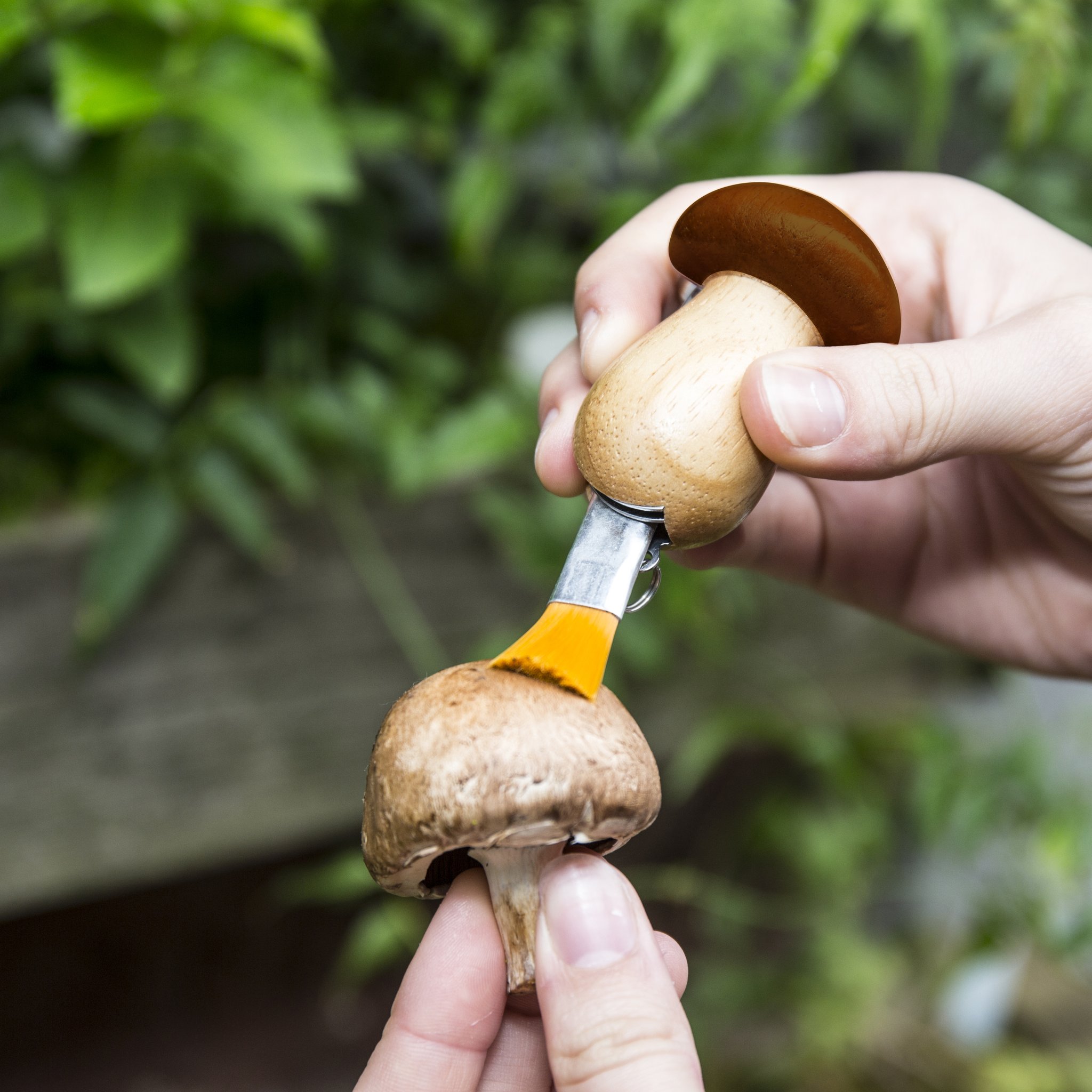 Mushroom gadget cleaning a mushroom with the brush