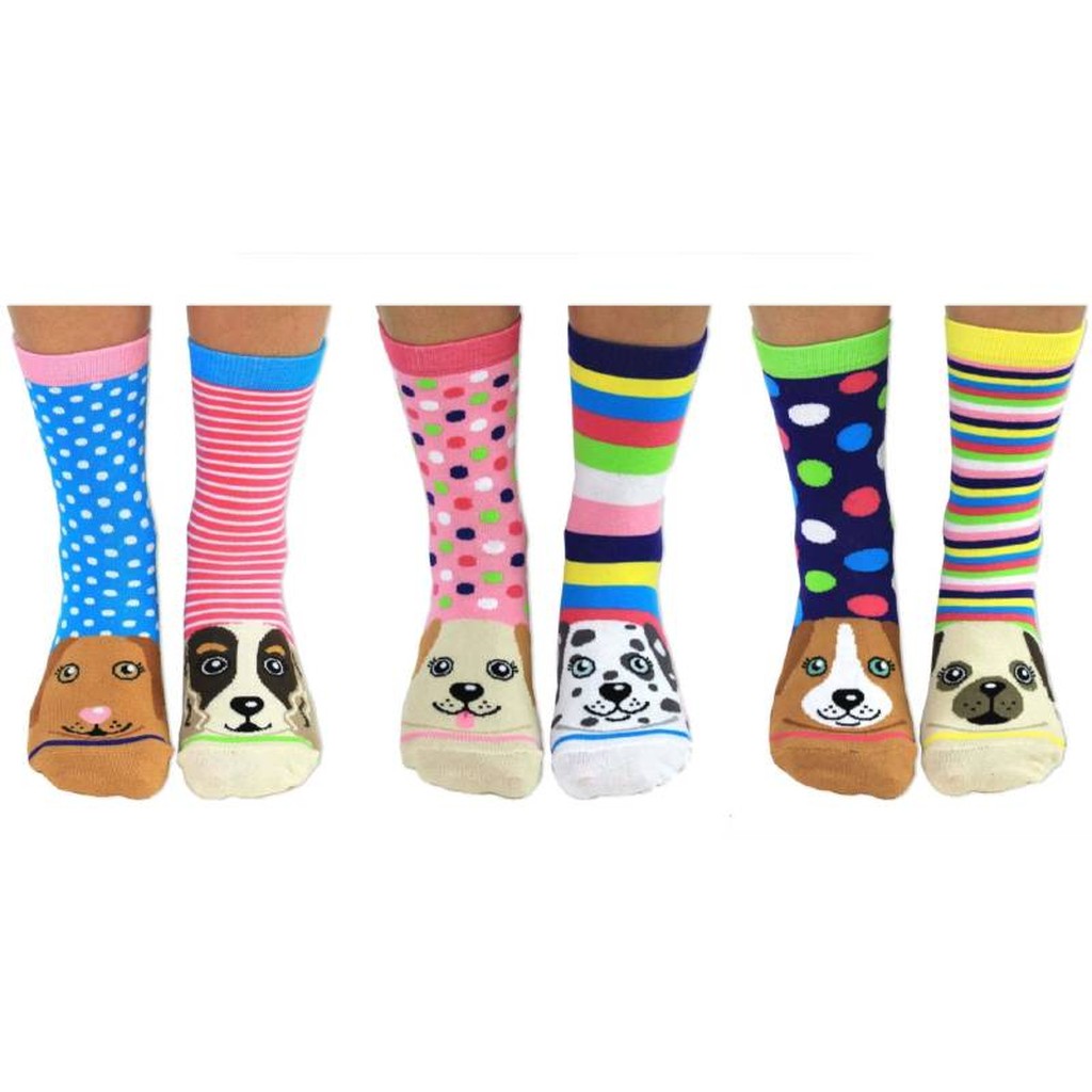 Coffret de Chaussettes Pawsome