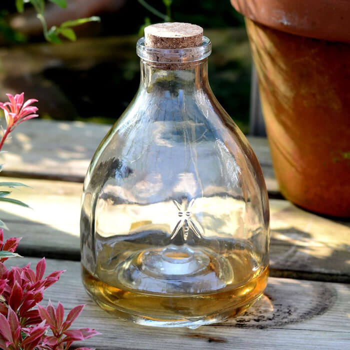 Glas-Wespenfalle 2-er Set von CKB