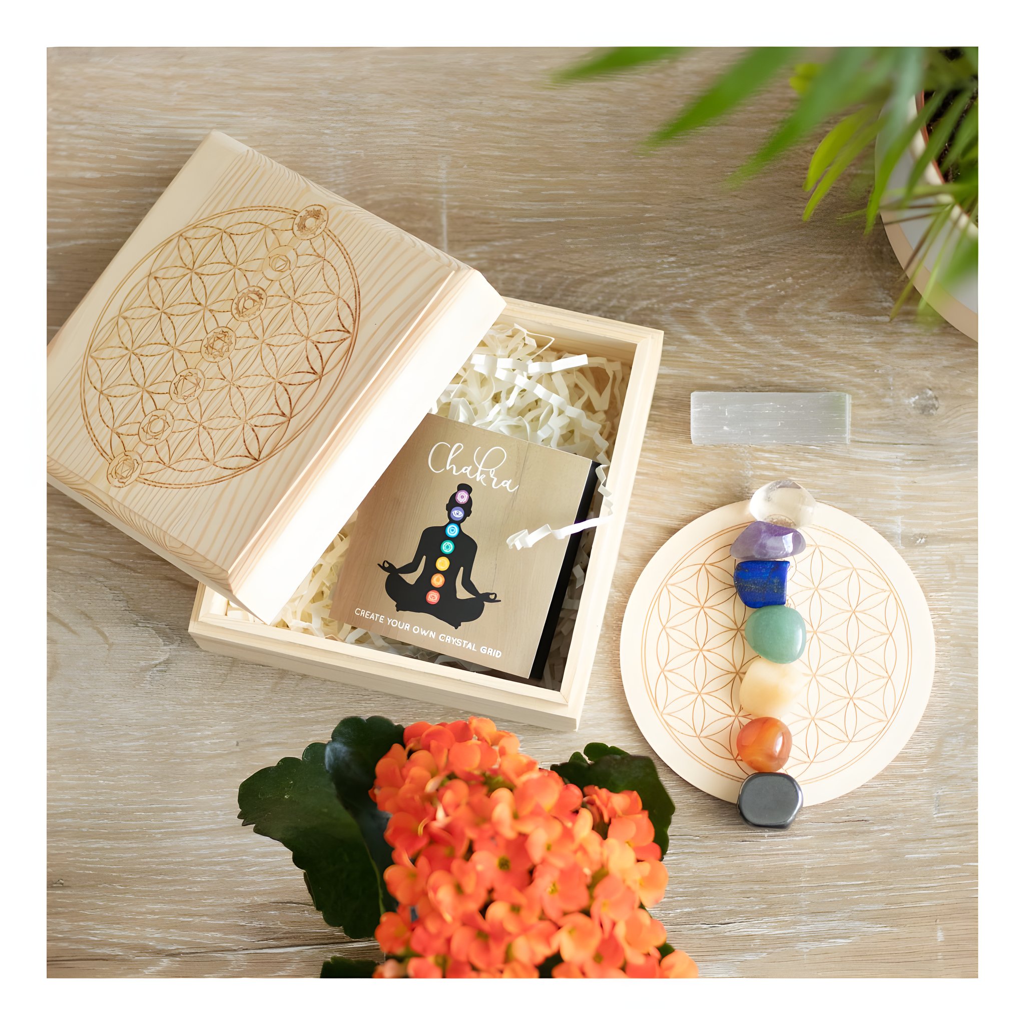Chakra set in lifestyle setting with plants and stones