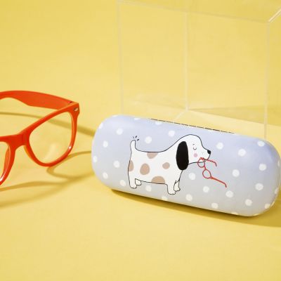 Barney Brillenetui von Sass & Belle mit roter Brille auf gelbem Hintergrund