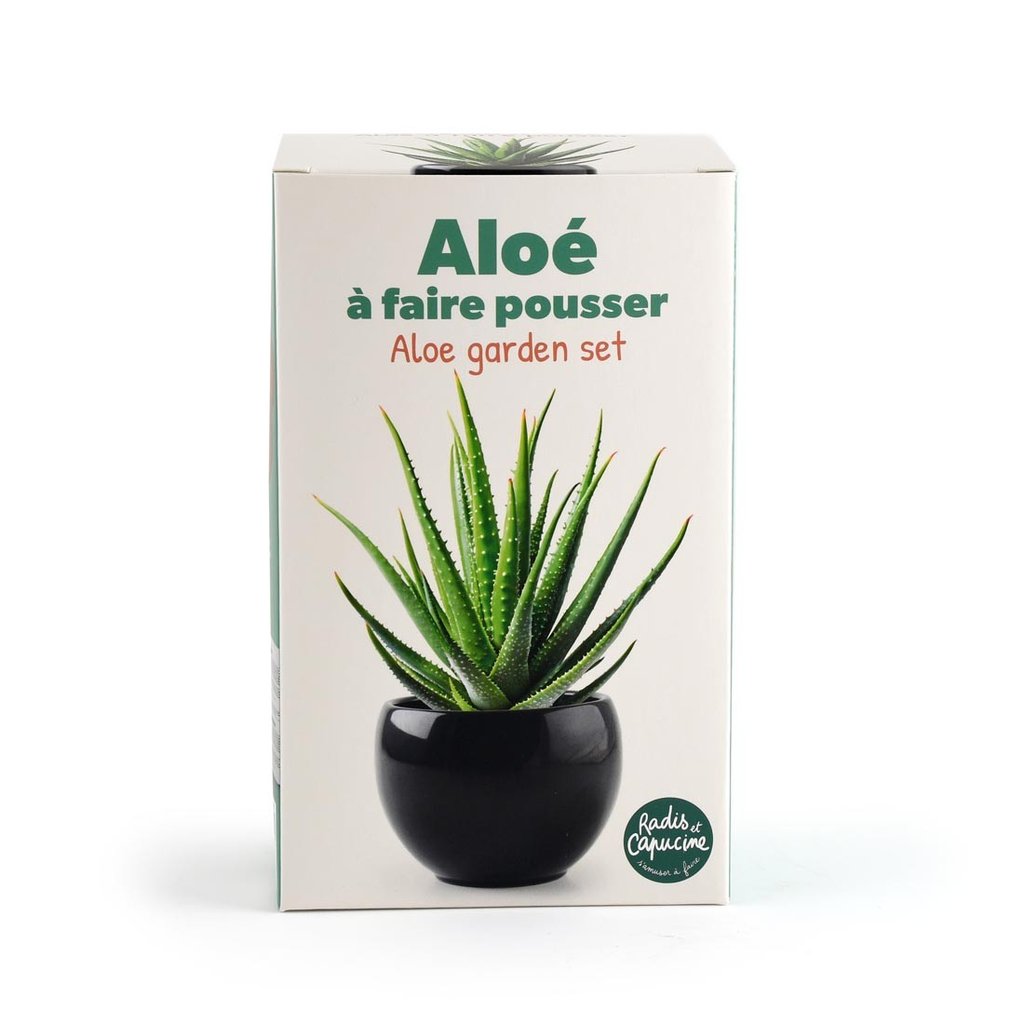 Aloe Vera Pflanz-Set  Eigene Heilpflanze ziehen | CHF 19.95 | enjoymedia.ch