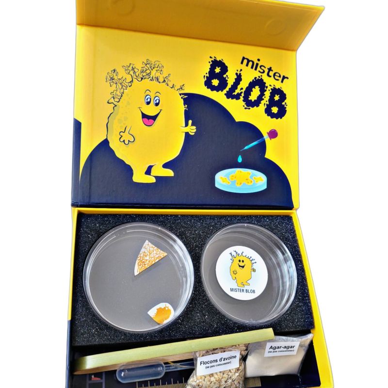 Kit di allevamento blob Malu, aperto: due piastre di Petri, fiocchi d'avena, agar agar, pipetta e pinzetta